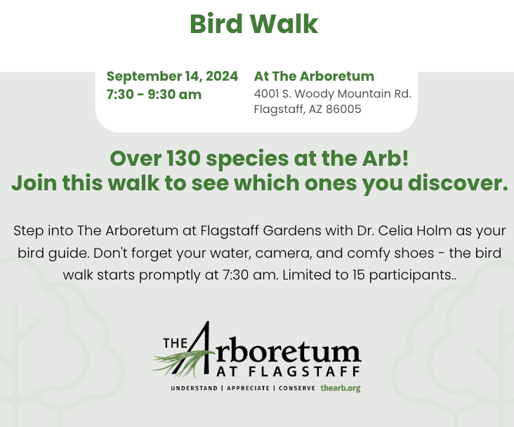 Bird Walk Sept. 14